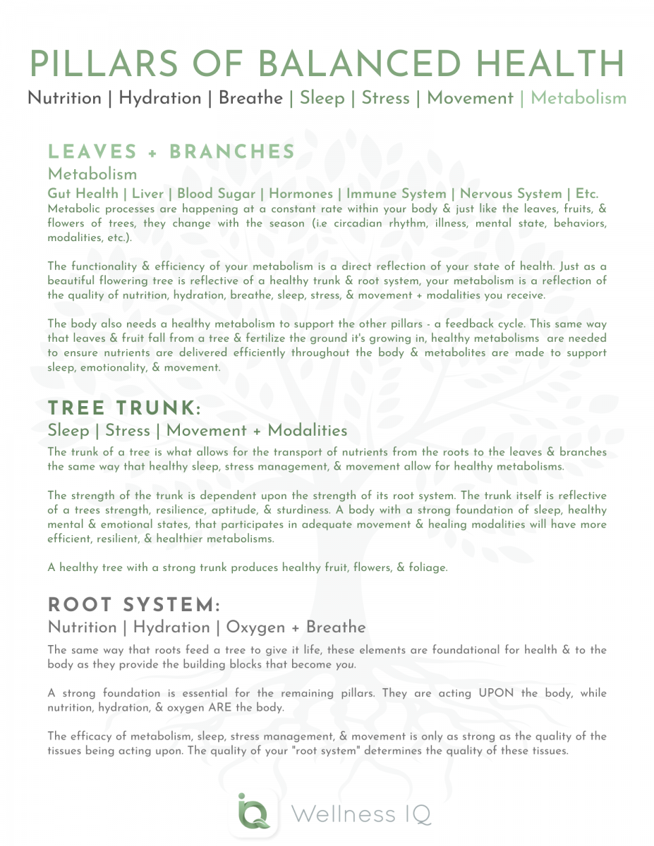 5 Essential Pillars of Balanced Health - Wellness IQ