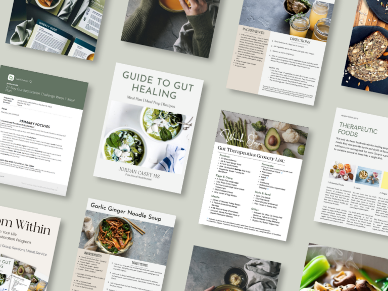 pages laid out from the Guide to Gut Healing by Jordan Casey, MS